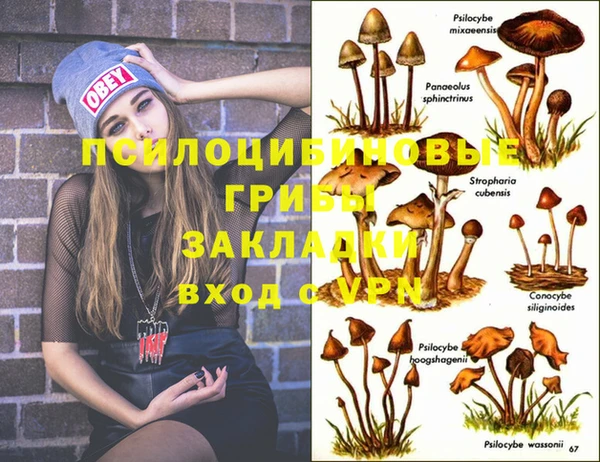 марихуана Баксан